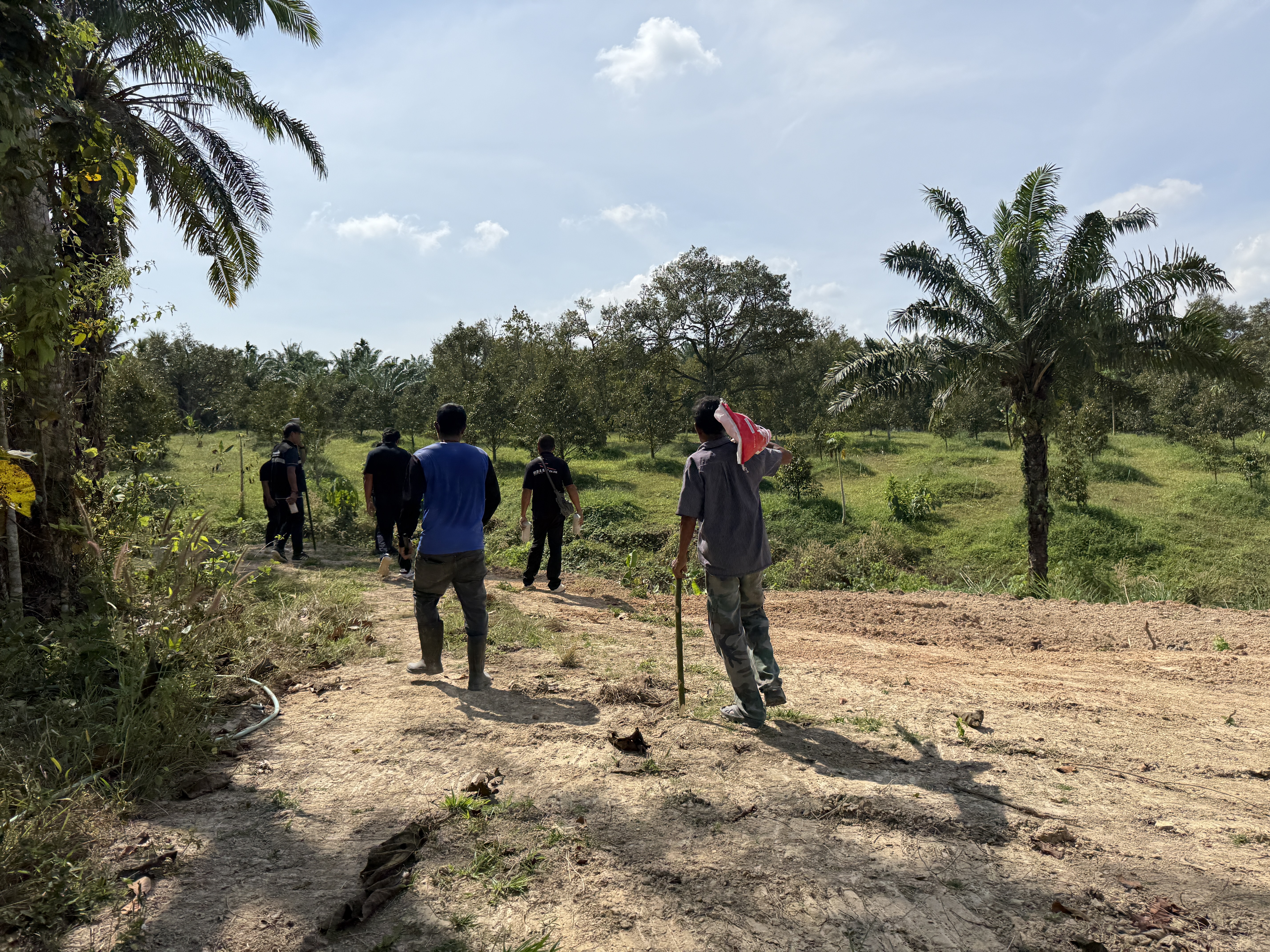 title - วันจันทร์ที่ 19 มกราคม 2569 นายนิกร ไพริน ปฏิรูปที่ดินจังหวัดชุมพร มอบหมายให้ นายพิษณุ บุญแนบ ผู้อำนวยการกลุ่มงานช่างและแผนที่ พร้อมด้วย เจ้าหน้าที่ ส.ป.ก.ชุมพร ลงพื้นดำเนินการรังวัดที่ดิน 